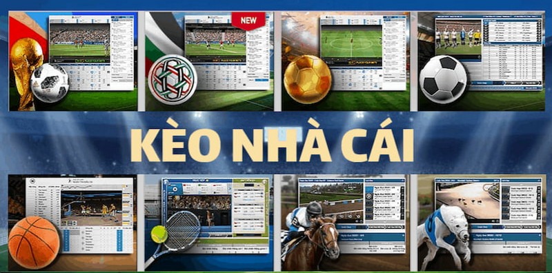 kèo nhà cái 5 là gì